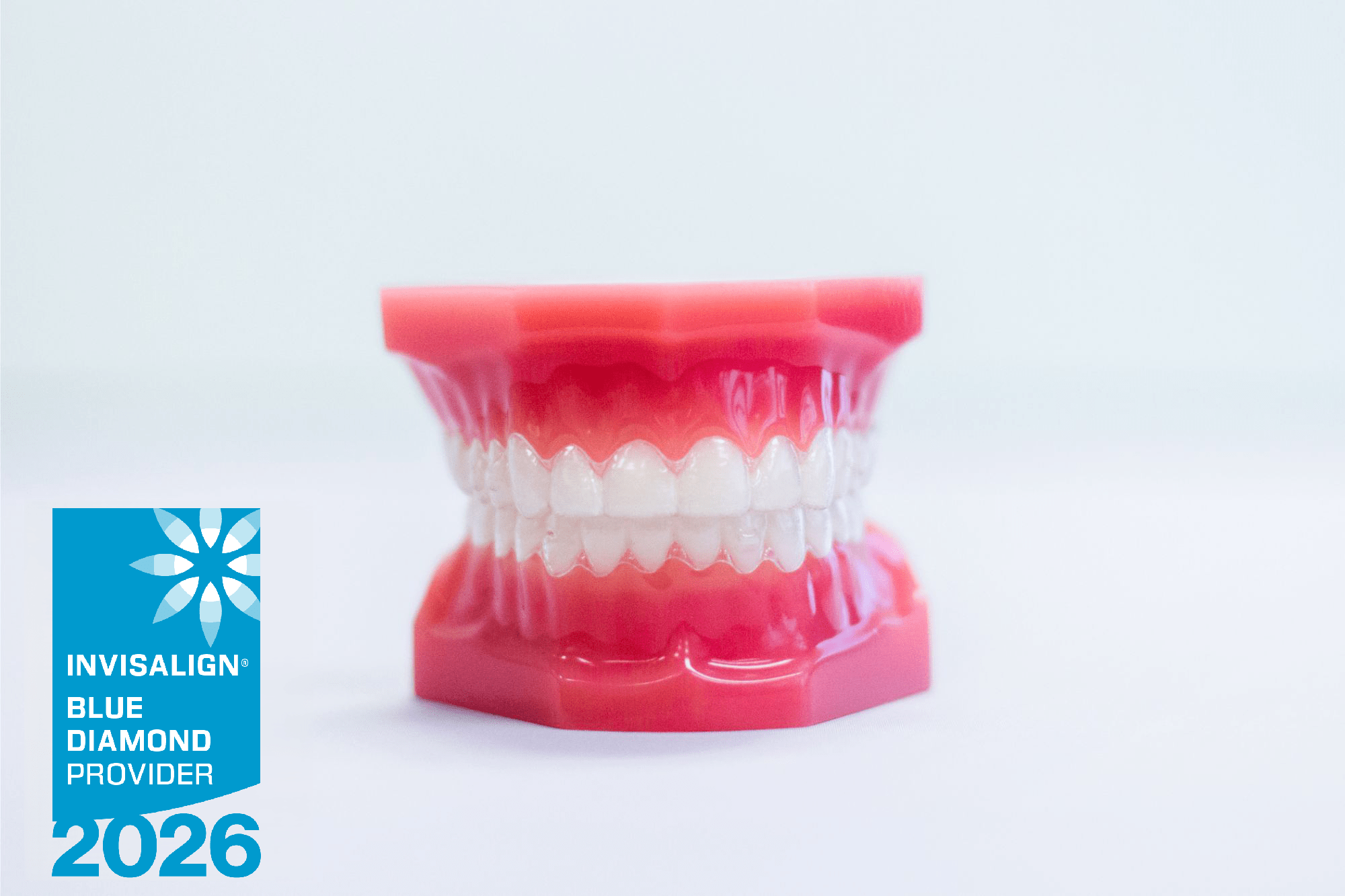 invisalign aligners on plastic model